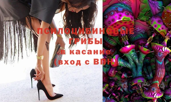 прущие грибы Алексеевка