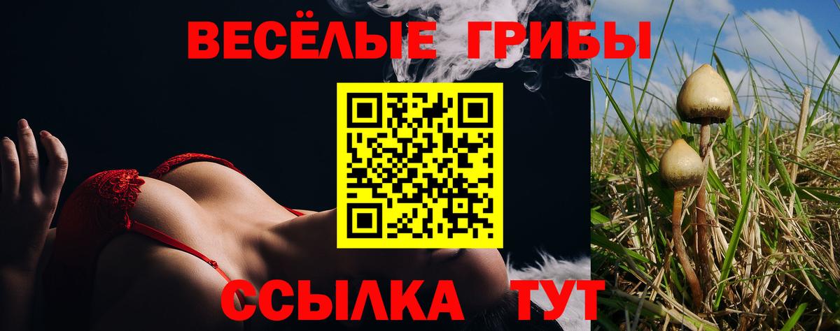 Галлюциногенные грибы Psilocybe Нефтекамск